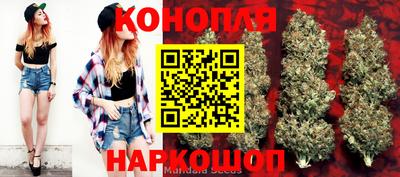 ALPHA PVP Малоярославец