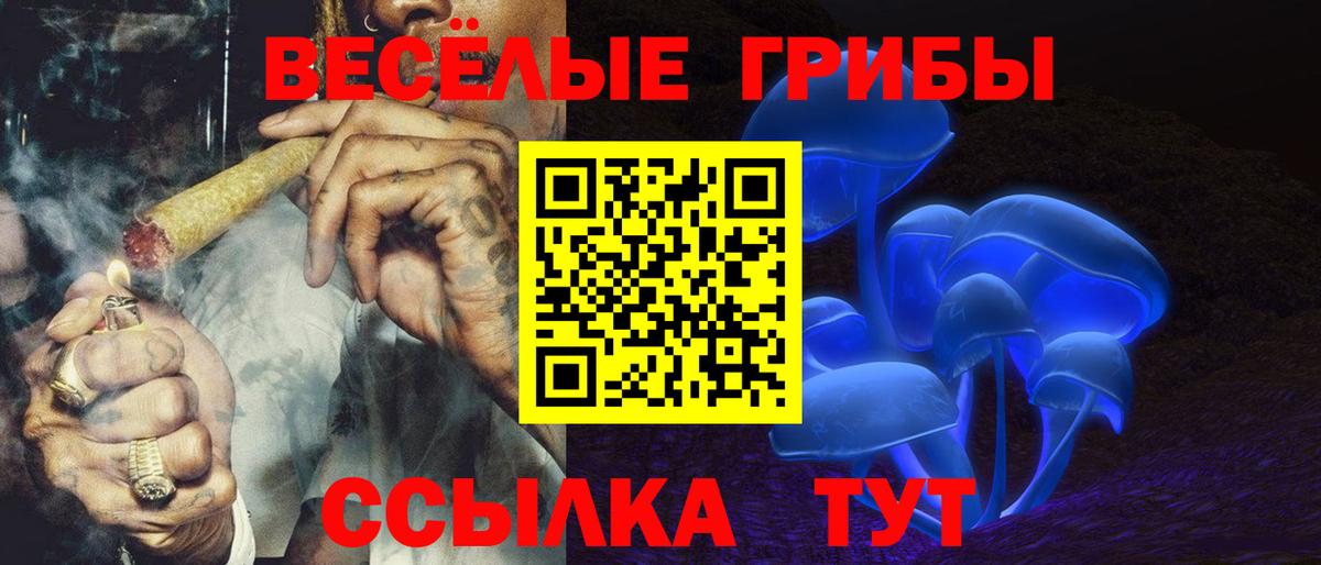 Гурьевск  Галлюциногенные грибы Psilocybine cubensis  Вход с VPN 