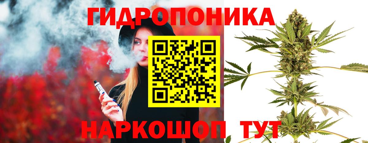 Каннабис VHQ  Вход с VPN  Гурьевск  Конопля планчик  Шишки марихуана White Widow 